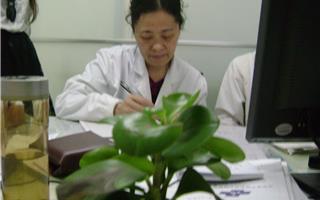 郑纯教授在学习